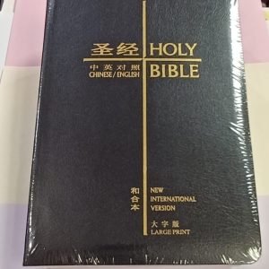 聖經‧和合本/NIV‧大字(簡)