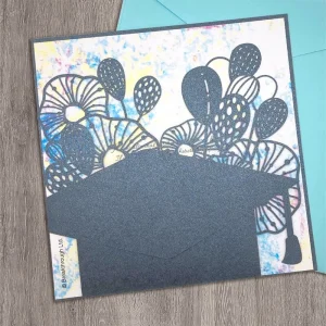 Laser card-Graduation