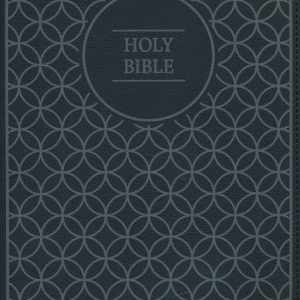 NIV Value Thinline Bible (Large Print, Gray and Black, Imitation Leather)