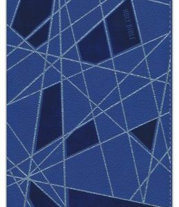 NIV Premium Gift Bible (Youth Edition, Comfort Print, Blue Leathersoft)