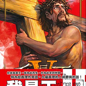 我是王5（漫畫）