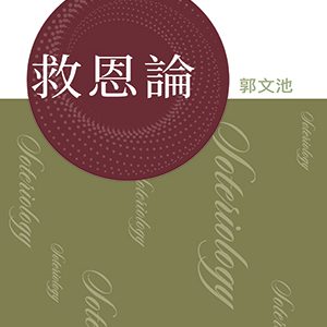系統神學:救恩論