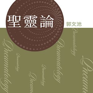 系統神學:聖靈論