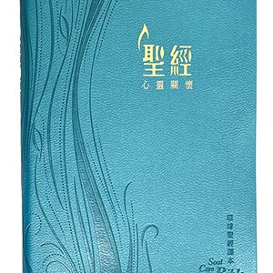 心靈關懷聖經 (繁)
