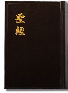 新標點和合本.直排.神版