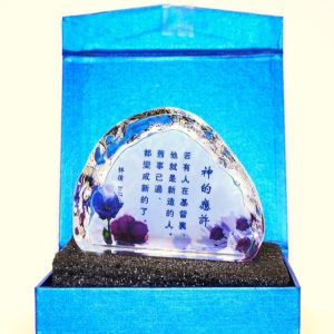 神的應許 林後5:17