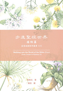 步進聖經世界（植物篇）：從香柏樹到牛膝草（2）
