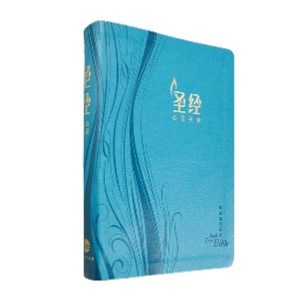心靈關懷聖經(簡)