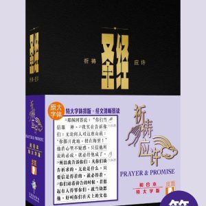 祈禱應許-特大字(簡)